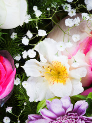 Similar image 2799049