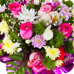 Similar image 2799051