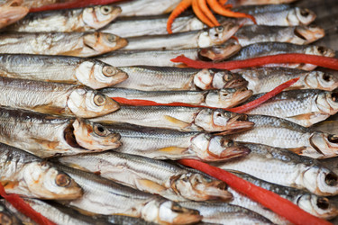 Similar image 2799207