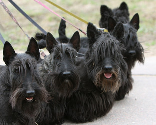 Similar image 2799320