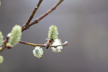 Similar image 2799341