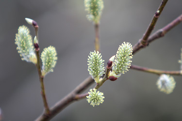 Similar image 2799342