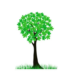 Similar image 2799400