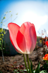 Similar image 2799488