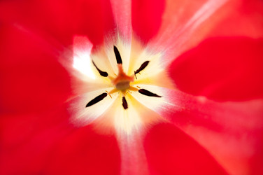 Similar image 2799489