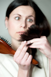 Similar image 2799500