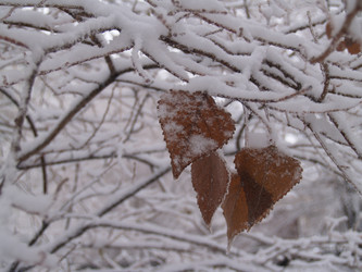 Similar image 2799652