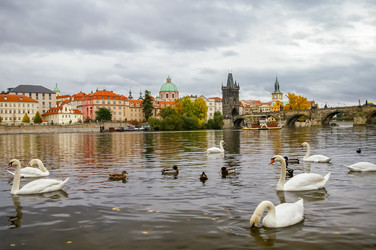 Similar image 2799656