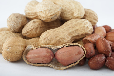 Similar image 2799706