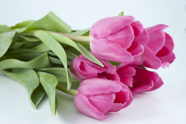 Similar image 2799711