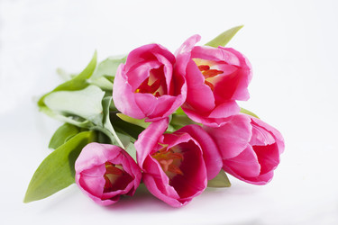 Similar image 2799712