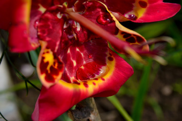 Similar image 2799727