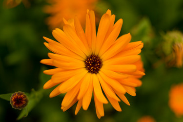 Similar image 2799729