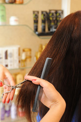 Similar image 2800498