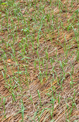 Similar image 2801777