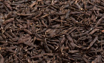 Similar image 2801796