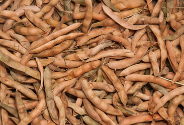 Similar image 2801797