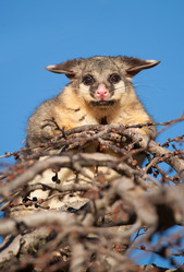 Similar image 2801831