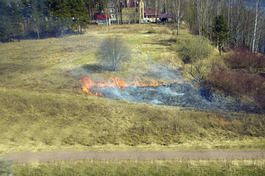 Similar image 2803111