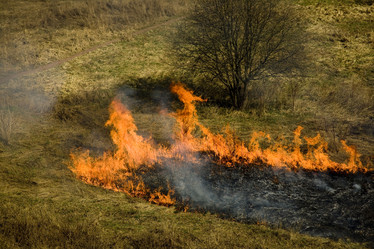 Similar image 2803112