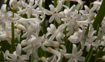 Similar image 2803114