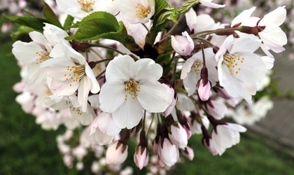 Similar image 2803127