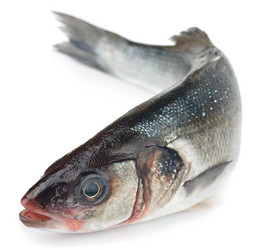 Similar image 2803136