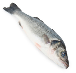 Similar image 2803137