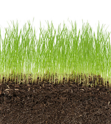 Similar image 2803157