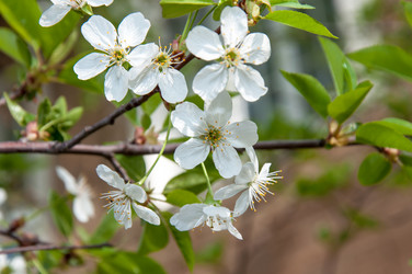 Similar image 2803212