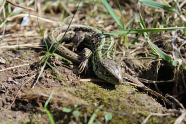 Similar image 2803225