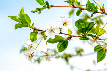 Similar image 2803230