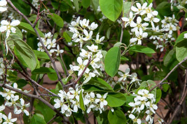 Similar image 2803231