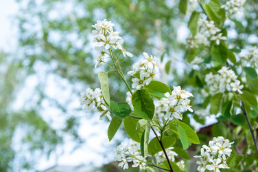 Similar image 2803232