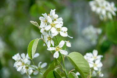 Similar image 2803233