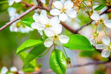 Similar image 2803236