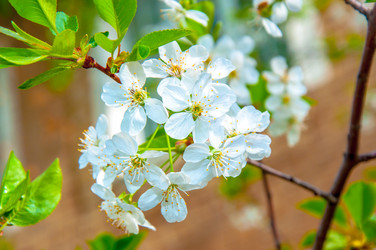 Similar image 2803237