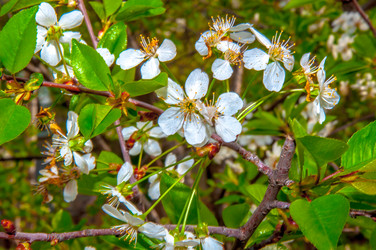 Similar image 2803238