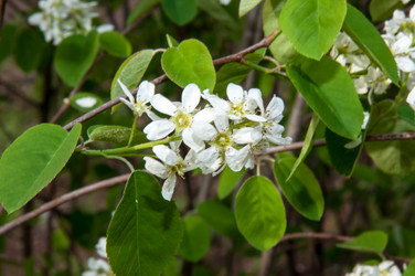 Similar image 2803239