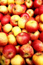 Similar image 2803295