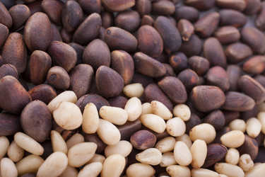 Similar image 2803303