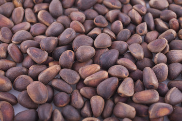 Similar image 2803305