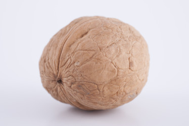 Similar image 2803306