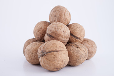 Similar image 2803307