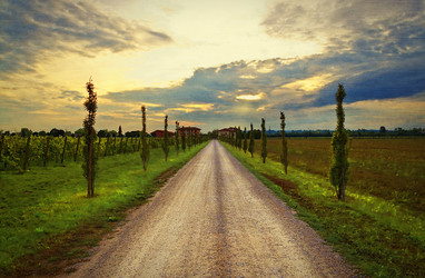 Similar image 2803319