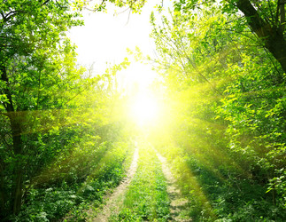 Similar image 2803342