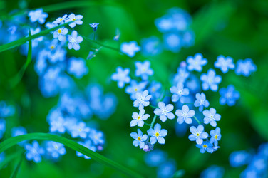 Similar image 2803358