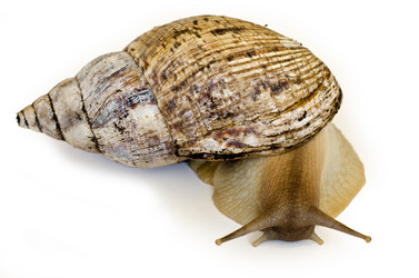 Similar image 2803376