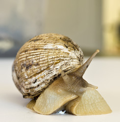 Similar image 2803377