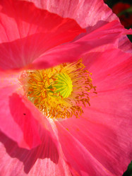 Similar image 2803409